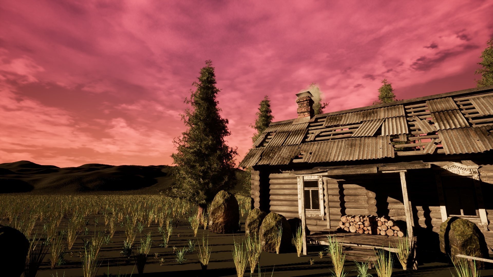 Low angle on the cabin roof against the sky
